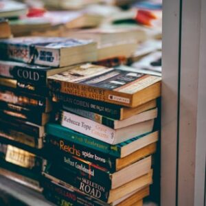 Fire On The Hill - Apple Books Edition